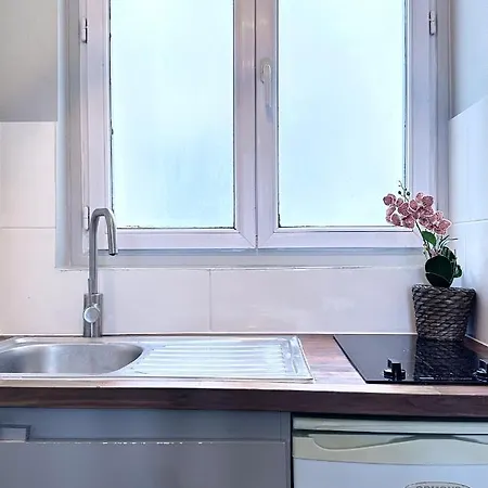 1620c - Pleasant Studio In Paris